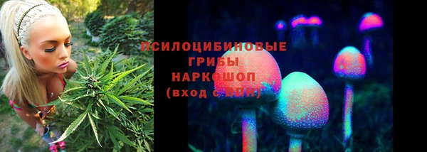 дмт Магас