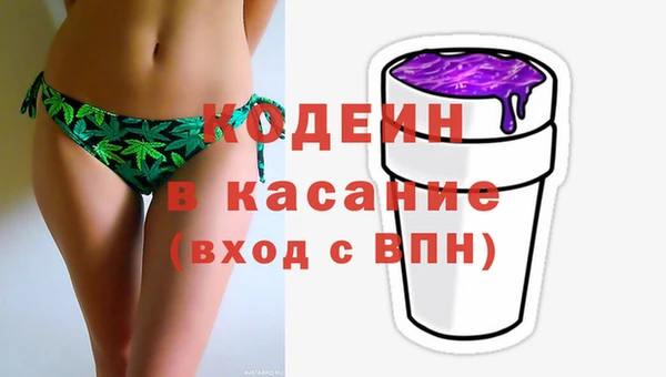 гашик Майский