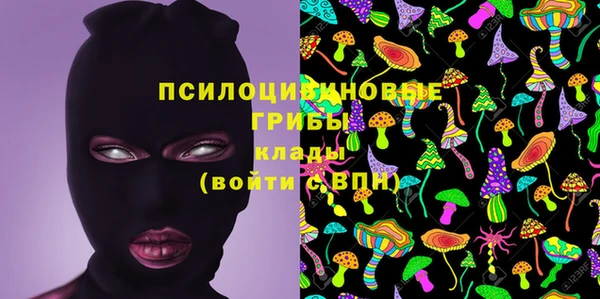 гашик Майский