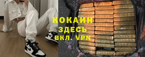 гашик Майский