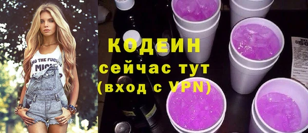 гашик Майский
