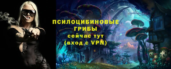 дмт Магас