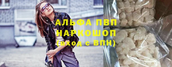 гашик Майский