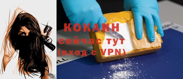 гашик Майский
