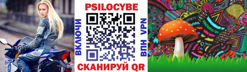 hydra как войти купить цена Лангепас Псилоцибиновые грибы мицелий